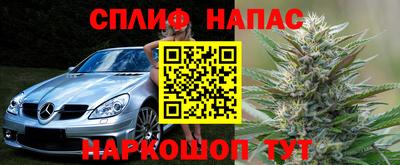 трава Камышлов